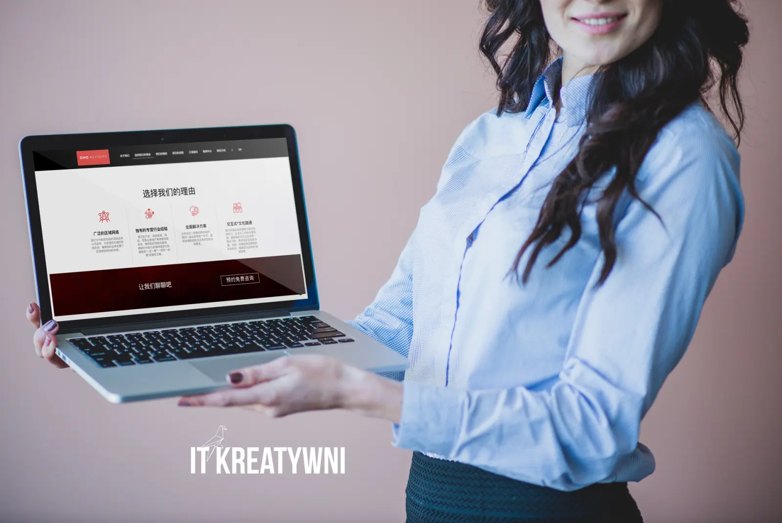 Sino-Advisory: realizacja ITKreatywni, widok 3